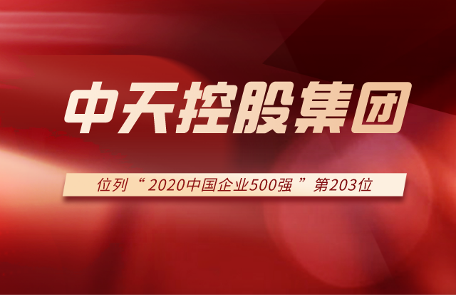 东升国际集团列2020中国企业500强第203位！